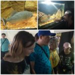 Подводный мир…🐟 Удивительный, прекрасный и разнообразный. Познакомиться с его обитателями и получить радость от общения с ними смогли посетители отделения социальной реабилитации, абилитации инвалидов ГУ «ТЦСОН Полоцкого района», побывав на выставке аквариумных рыбок.