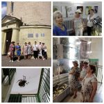 В рамках клуба «НеслуЧайныеЛюди» посетители отделения дневного пребывания для граждан пожилого возраста ГУ «Территориальный центр социального обслуживания населения Полоцкого района» посетили выставку современных белорусских художников-анималистов «Побач» в Природно-экологическом музее.
