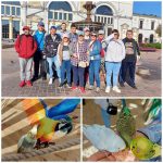 Лучший способ эмоциональной и психологической реабилитации — «живое» общение с природой. В этом убедились посетители отделения социальной реабилитации, абилитации инвалидов ГУ «ТЦСОН Полоцкого района»